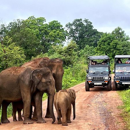 Jungle Lodge Удавалаве Екстер'єр фото